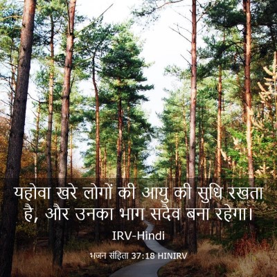 Picture 03 - भजन संहिता 37:18 HINIRV - यहोवा खरे लोगों की - Bible Verse Picture