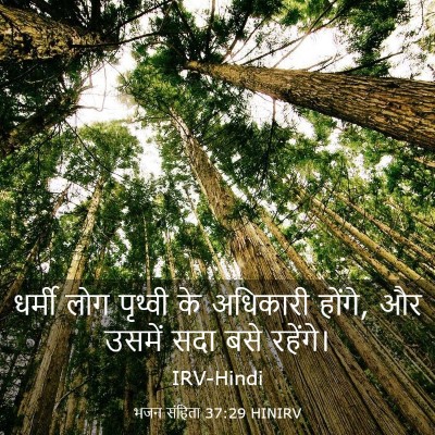 Picture 03 - भजन संहिता 37:29 HINIRV - धर्मी लोग पृथ्वी - Bible Verse Picture