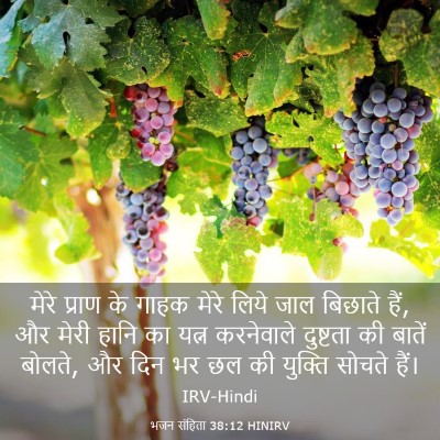 Picture 03 - भजन संहिता 38:12 HINIRV - मेरे प्राण के गाहक - Bible Verse Picture