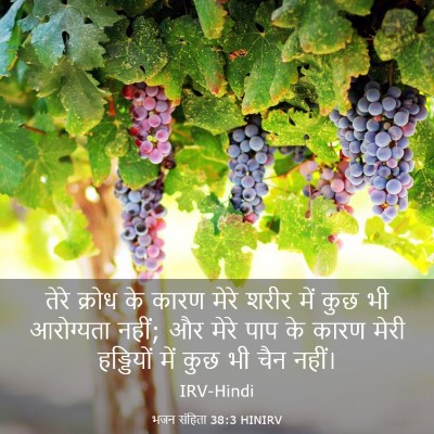Picture 03 - भजन संहिता 38:3 HINIRV - तेरे क्रोध के कारण - Bible Verse Picture