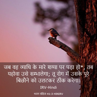Picture 03 - भजन संहिता 41:3 HINIRV - जब वह व्याधि के - Bible Verse Picture
