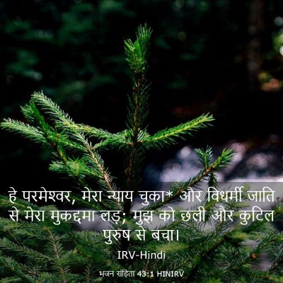 Picture 03 - भजन संहिता 43:1 HINIRV - हे परमेश्‍वर, मेरा - Bible Verse Picture