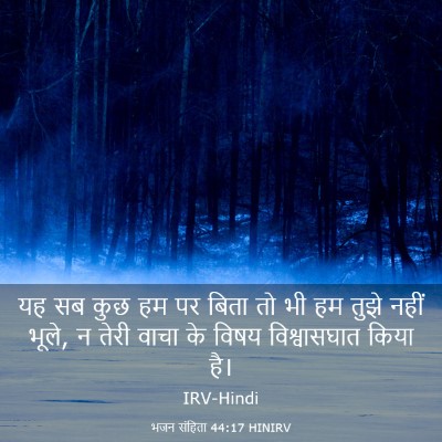 Picture 03 - भजन संहिता 44:17 HINIRV - यह सब कुछ हम पर - Bible Verse Picture