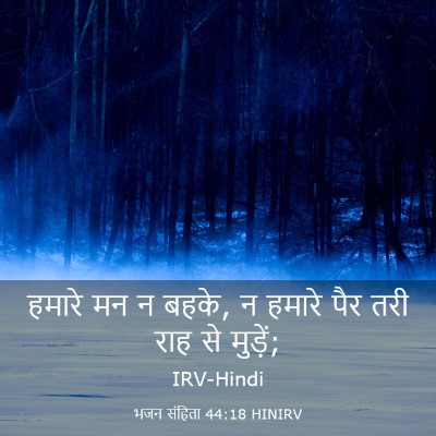 Picture 03 - भजन संहिता 44:18 HINIRV - हमारे मन न बहके, न - Bible Verse Picture