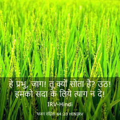 Picture 03 - भजन संहिता 44:23 HINIRV - हे प्रभु, जाग! तू - Bible Verse Picture