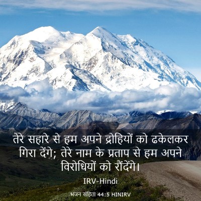 Picture 03 - भजन संहिता 44:5 HINIRV - तेरे सहारे से हम - Bible Verse Picture