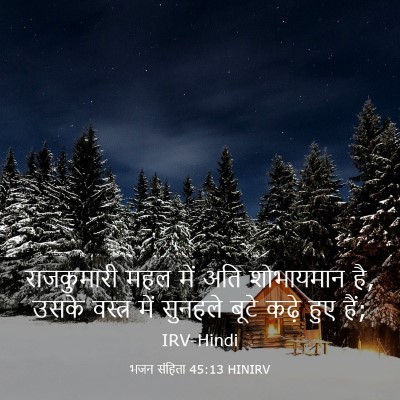 Picture 03 - भजन संहिता 45:13 HINIRV - राजकुमारी महल में - Bible Verse Picture