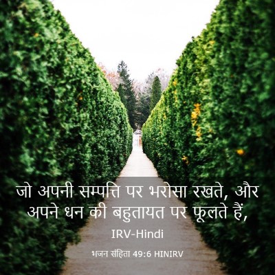 Picture 03 - भजन संहिता 49:6 HINIRV - जो अपनी सम्पत्ति - Bible Verse Picture