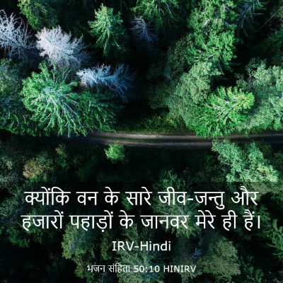 Picture 03 - भजन संहिता 50:10 HINIRV - क्योंकि वन के सारे - Bible Verse Picture