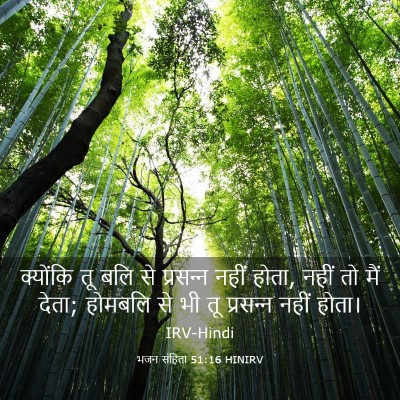 Picture 03 - भजन संहिता 51:16 HINIRV - क्योंकि तू बलि से - Bible Verse Picture