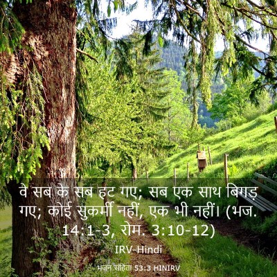 Picture 03 - भजन संहिता 53:3 HINIRV - वे सब के सब हट गए; सब - Bible Verse Picture