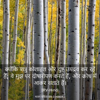 Picture 03 - भजन संहिता 55:3 HINIRV - क्योंकि शत्रु - Bible Verse Picture