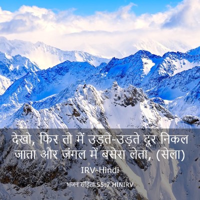 Picture 03 - भजन संहिता 55:7 HINIRV - देखो, फिर तो मैं - Bible Verse Picture