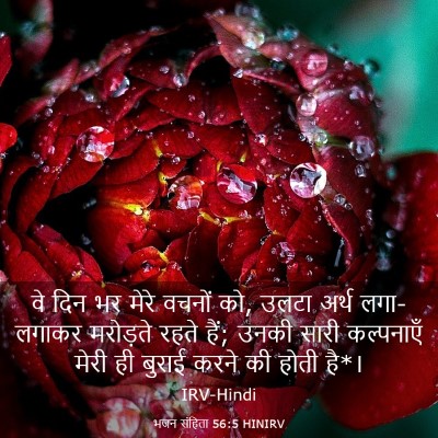 Picture 03 - भजन संहिता 56:5 HINIRV - वे दिन भर मेरे - Bible Verse Picture