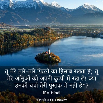 Picture 03 - भजन संहिता 56:8 HINIRV - तू मेरे मारे-मारे - Bible Verse Picture
