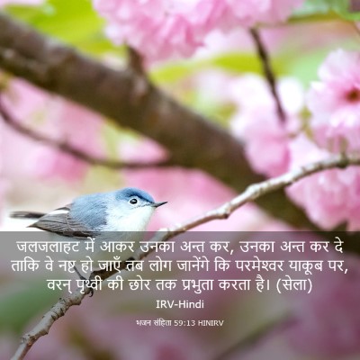 Picture 03 - भजन संहिता 59:13 HINIRV - जलजलाहट में आकर - Bible Verse Picture