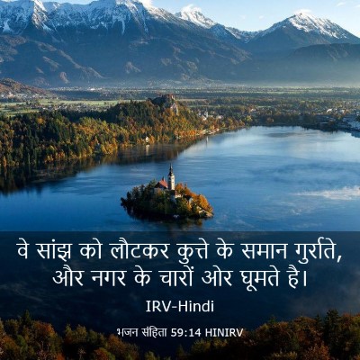 Picture 03 - भजन संहिता 59:14 HINIRV - वे सांझ को लौटकर - Bible Verse Picture