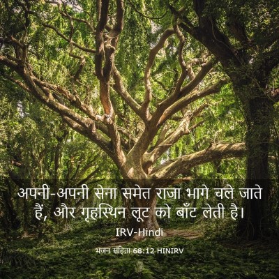 Picture 03 - भजन संहिता 68:12 HINIRV - अपनी-अपनी सेना - Bible Verse Picture