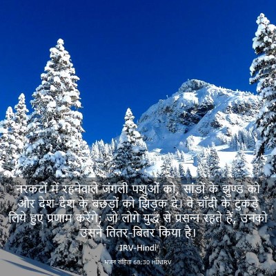 Picture 03 - भजन संहिता 68:30 HINIRV - नरकटों में - Bible Verse Picture