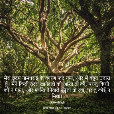 Picture 03 - भजन संहिता 69:20 HINIRV - मेरा हृदय नामधराई - Bible Verse Picture