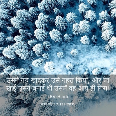 Picture 03 - भजन संहिता 7:15 HINIRV - उसने गड्ढे खोदकर - Bible Verse Picture