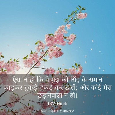 Picture 03 - भजन संहिता 7:2 HINIRV - ऐसा न हो कि वे मुझ - Bible Verse Picture