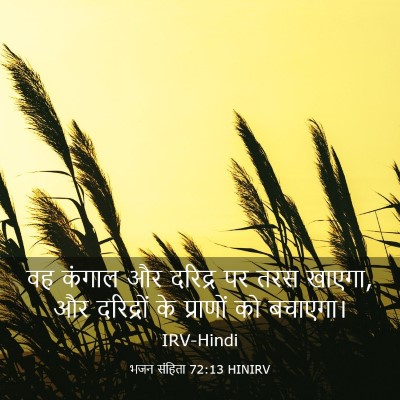 Picture 03 - भजन संहिता 72:13 HINIRV - वह कंगाल और दरिद्र - Bible Verse Picture