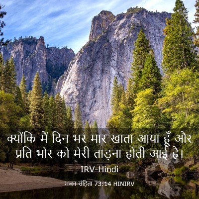Picture 03 - भजन संहिता 73:14 HINIRV - क्योंकि मैं दिन भर - Bible Verse Picture