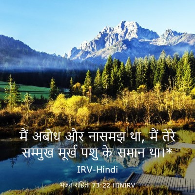 Picture 03 - भजन संहिता 73:22 HINIRV - मैं अबोध और नासमझ - Bible Verse Picture
