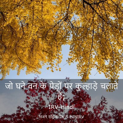 Picture 03 - भजन संहिता 74:5 HINIRV - जो घने वन के पेड़ों - Bible Verse Picture
