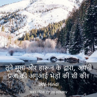 Picture 03 - भजन संहिता 77:20 HINIRV - तूने मूसा और हारून - Bible Verse Picture