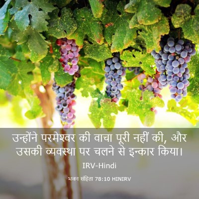 Picture 03 - भजन संहिता 78:10 HINIRV - उन्होंने - Bible Verse Picture