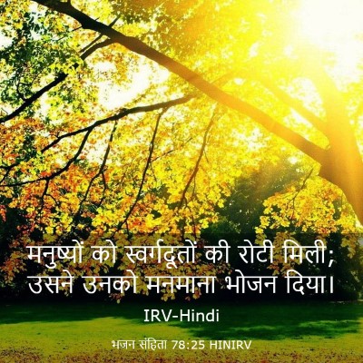 Picture 03 - भजन संहिता 78:25 HINIRV - मनुष्यों को - Bible Verse Picture