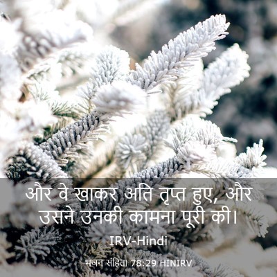 Picture 03 - भजन संहिता 78:29 HINIRV - और वे खाकर अति - Bible Verse Picture