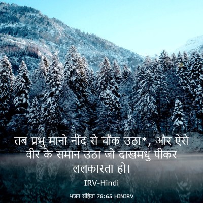 Picture 03 - भजन संहिता 78:65 HINIRV - तब प्रभु मानो नींद - Bible Verse Picture