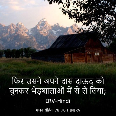 Picture 03 - भजन संहिता 78:70 HINIRV - फिर उसने अपने दास - Bible Verse Picture