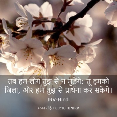 Picture 03 - भजन संहिता 80:18 HINIRV - तब हम लोग तुझ से न - Bible Verse Picture