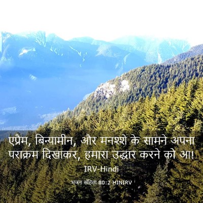 Picture 03 - भजन संहिता 80:2 HINIRV - एप्रैम, बिन्यामीन, - Bible Verse Picture
