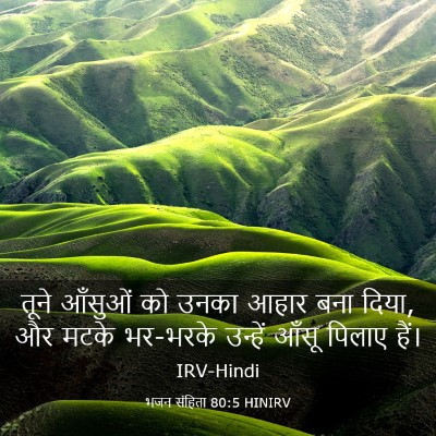 Picture 03 - भजन संहिता 80:5 HINIRV - तूने आँसुओं को - Bible Verse Picture