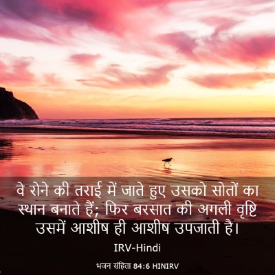 Picture 03 - भजन संहिता 84:6 HINIRV - वे रोने की तराई में - Bible Verse Picture