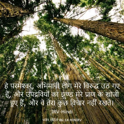 Picture 03 - भजन संहिता 86:14 HINIRV - हे परमेश्‍वर, - Bible Verse Picture