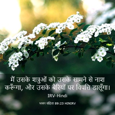 Picture 03 - भजन संहिता 89:23 HINIRV - मैं उसके शत्रुओं - Bible Verse Picture