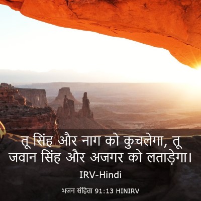 Picture 03 - भजन संहिता 91:13 HINIRV - तू सिंह और नाग को - Bible Verse Picture