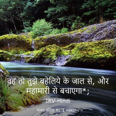 Picture 03 - भजन संहिता 91:3 HINIRV - वह तो तुझे बहेलिये - Bible Verse Picture
