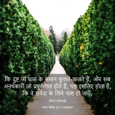 Picture 03 - भजन संहिता 92:7 HINIRV - कि दुष्ट जो घास के - Bible Verse Picture
