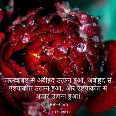 Picture 03 - मत्ती 1:13 HINIRV - जरुब्बाबेल से - Bible Verse Picture