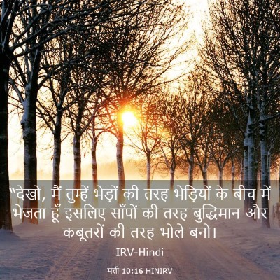 Picture 03 - मत्ती 10:16 HINIRV - “देखो, मैं तुम्हें - Bible Verse Picture