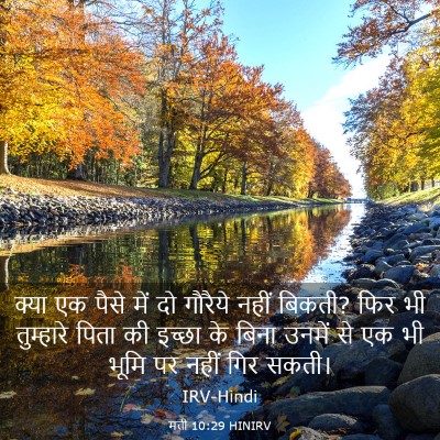 Picture 03 - मत्ती 10:29 HINIRV - क्या एक पैसे में दो - Bible Verse Picture