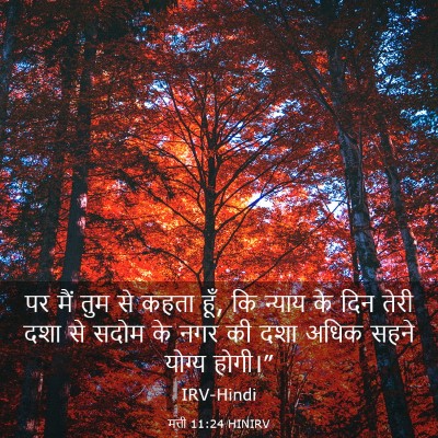Picture 03 - मत्ती 11:24 HINIRV - पर मैं तुम से कहता - Bible Verse Picture