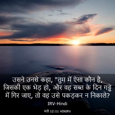 Picture 03 - मत्ती 12:11 HINIRV - उसने उनसे कहा, “तुम - Bible Verse Picture